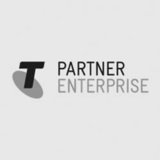 Telstra partner enterprise logo